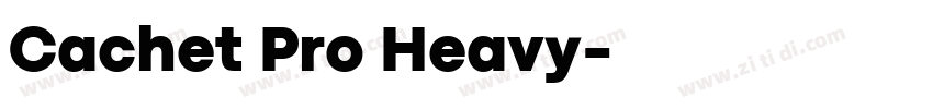 Cachet Pro Heavy字体转换
